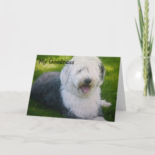 "TWEET MIR JEMALS" BIRTHDAY WISHES KARTE (Vorderseite)