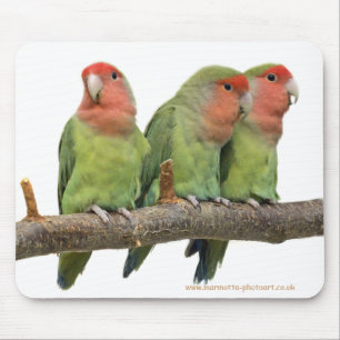 Tweet Trio Mousemat Mousepad