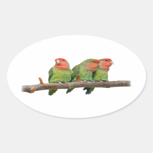 Tweet Trio Sticker