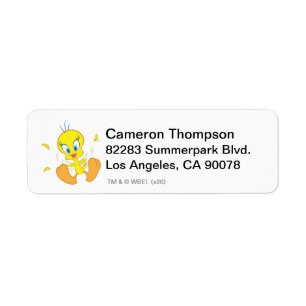 Tweety - Action Pose 5