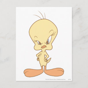 TWEETY™ Angry Postkarte