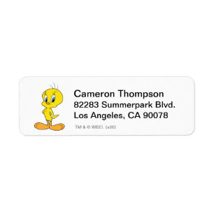 TWEETY™   Clever Bird