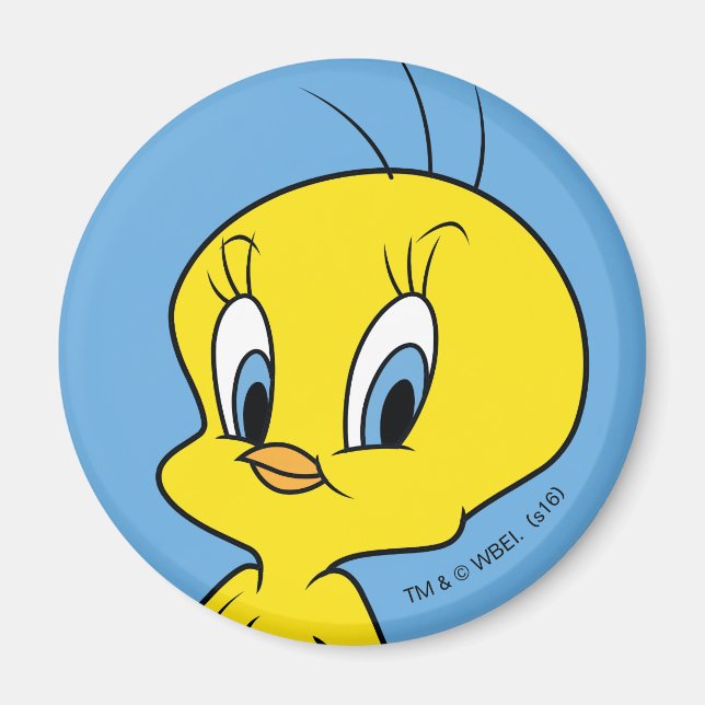 TWEETY™ | Clever Bird Magnet (Vorne)