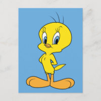 TWEETY™ | Clever Bird