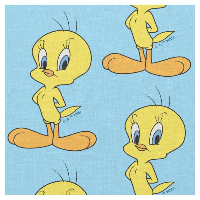 TWEETY™ | Clever Bird Stoff (Nahaufnahme)