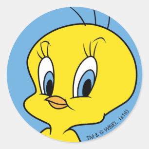 TWEETY™   Cleverer Vogel Runder Aufkleber