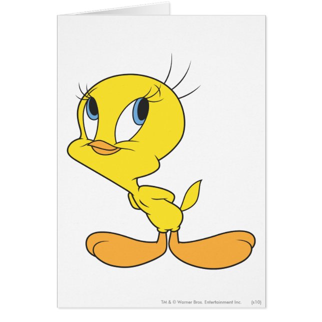 TWEETY™ Hmm (Vorne)