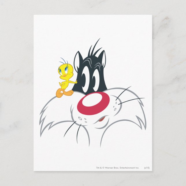 TWEETY™ In Aktion Pose 12 Postkarte (Vorderseite)