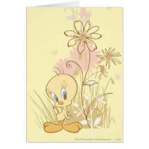 Tweety "Just so Perfect"
