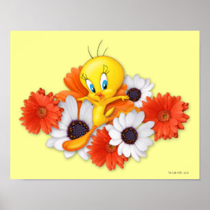 Tweety mit Daisis Poster