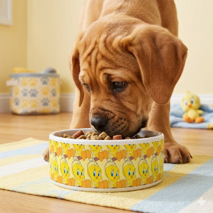 Tweety-Schüssel Napf