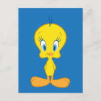 TWEETY™ | Unschuldiger kleiner Vogel