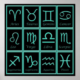 Twelve Zodiac Signs Print Poster