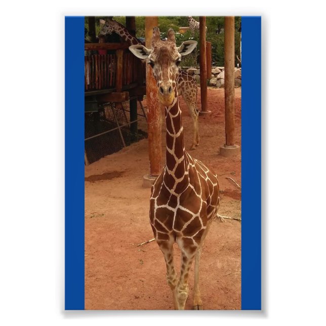 Twiggy 4X6 Print #2 Fotodruck (Vorne)