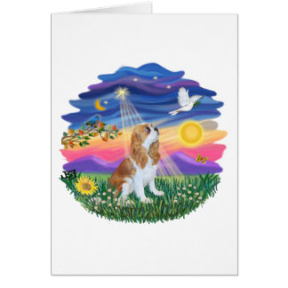 Twilight - Blenheim Cavalier (F)