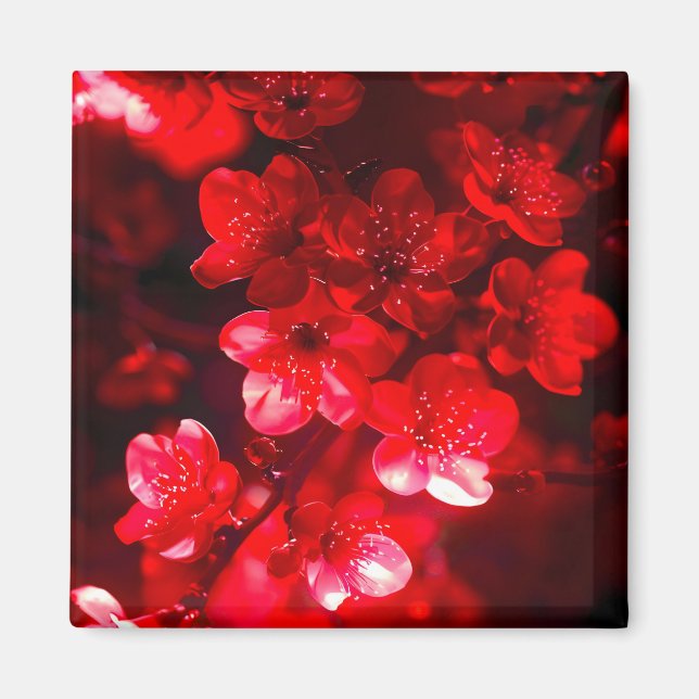 Twilight Cherry Blossom Glow Magnet (Vorne)