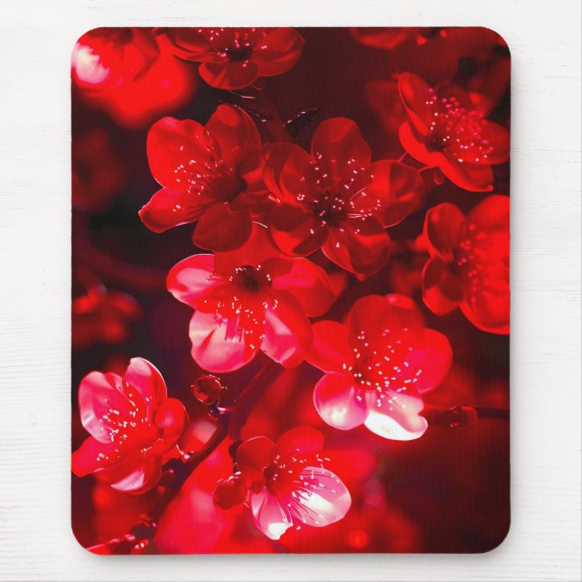 Twilight Cherry Blossom Glow Mousepad (Vorne)