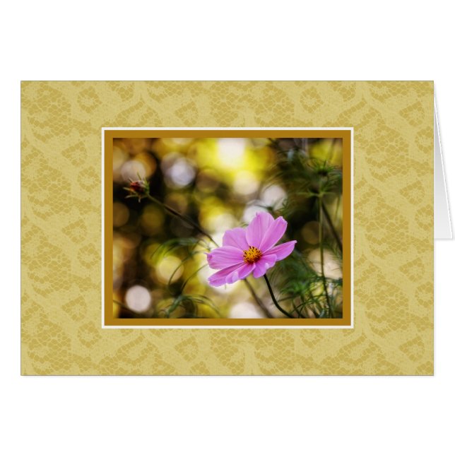 Twilight Cosmos-Wildblume (Vorderseite (Horizontal))