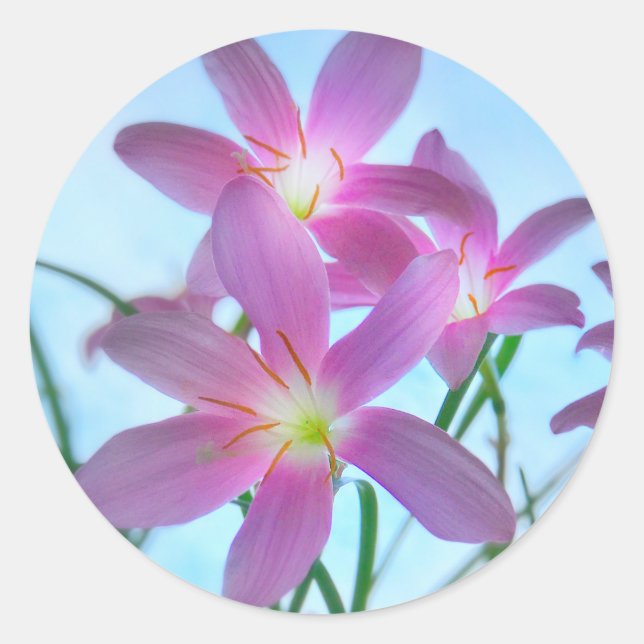 Twilight Fairy Lilies Umschlag Aufkleber Stickers (Vorderseite)