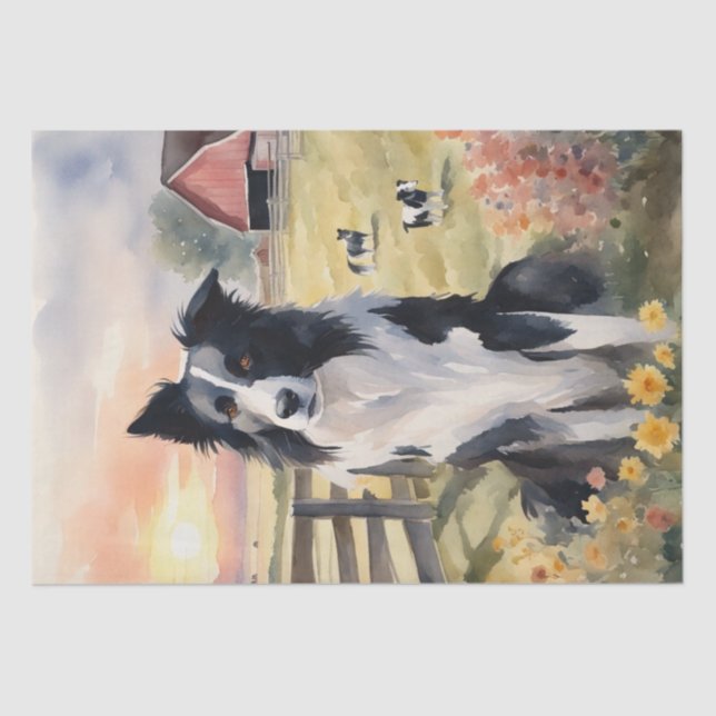 Twilight Harmony: Border Collie Decoupage Seidenpapier (Vorderseite)