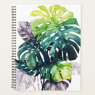 Twilight Palms - Split Leaf Planer