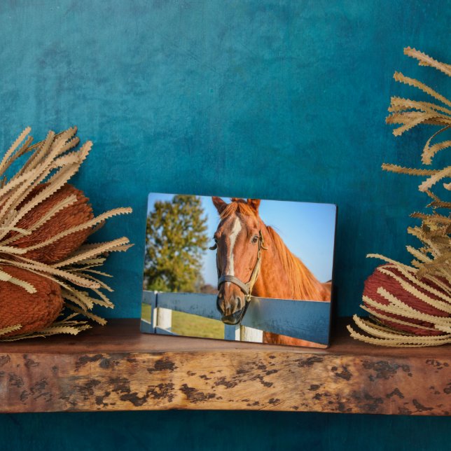 Twilight-Rose | Reitpferd Fotoplatte (Seite)