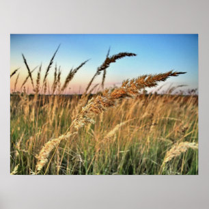 Twilights And Dawns,Sunsets And Sunrises Poster