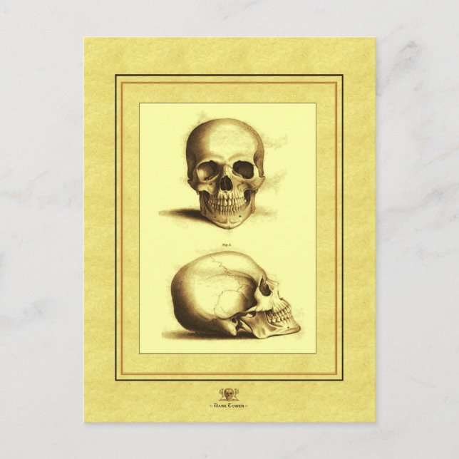 Twin Antique Skulls Postkarte (Vorderseite)