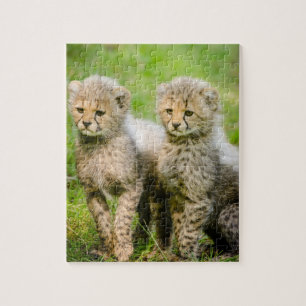 Twin Baby Cheetahs Puzzle