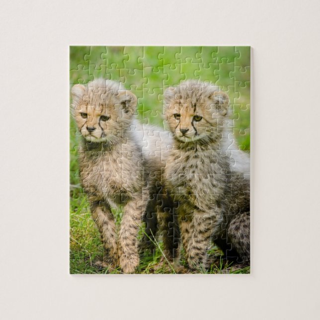 Twin Baby Cheetahs Puzzle (Vertikal)