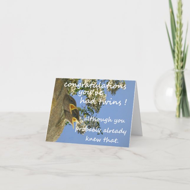 Twin Baby Fun Gratulations Karte (Vorderseite)