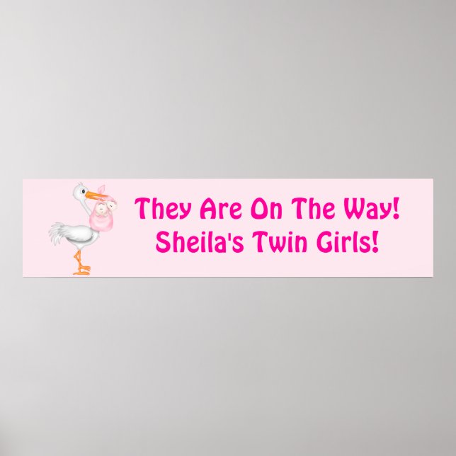 Twin Baby Girl Shower Party Banner Poster (Vorne)