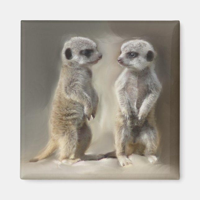 Twin baby Meerkats Magnet (Vorne)