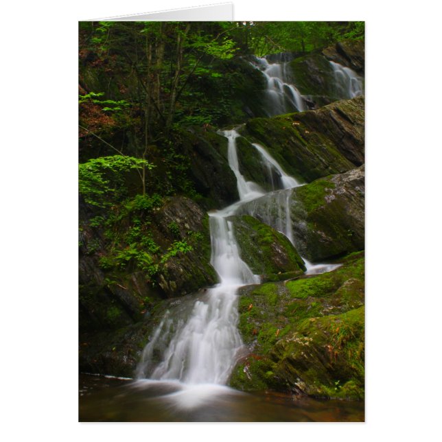 Twin Cascade Berkshires Wasserfall (Vorne)