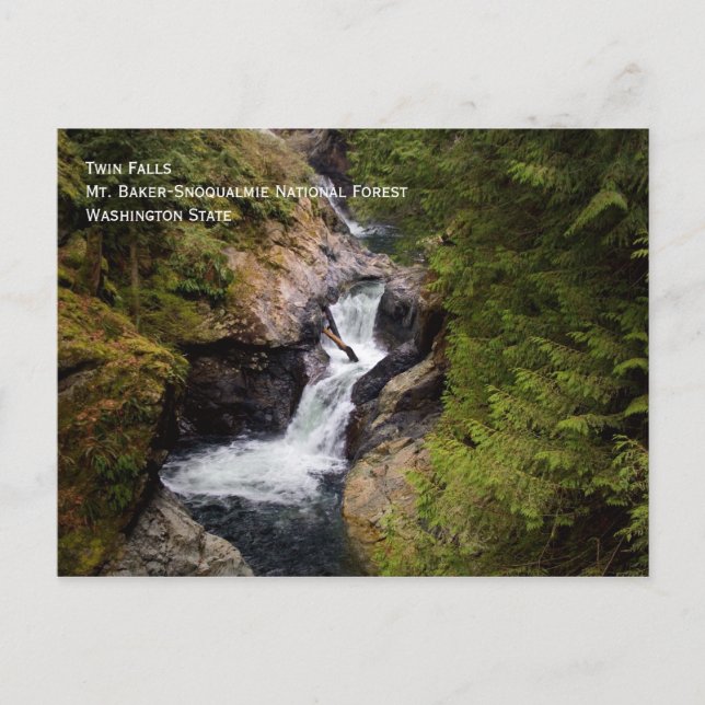 Twin Falls Postcard Postkarte (Vorderseite)