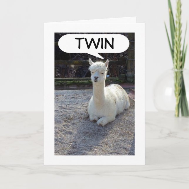 TWIN-LLAMA SAGT, KEINER HABE EIN BESSERES ZWEIMAL  KARTE (Vorderseite)