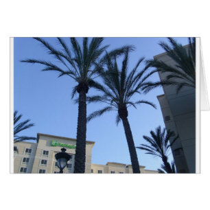 Twin Palms California Urlaub