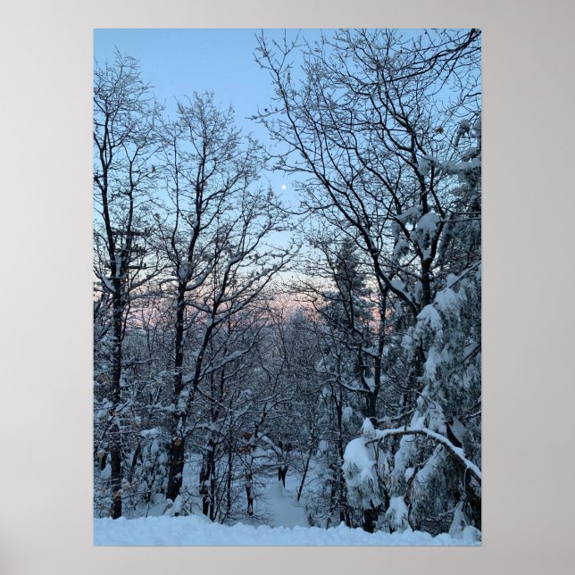 Twin Peaks Snowy Moon Poster (Vorne)