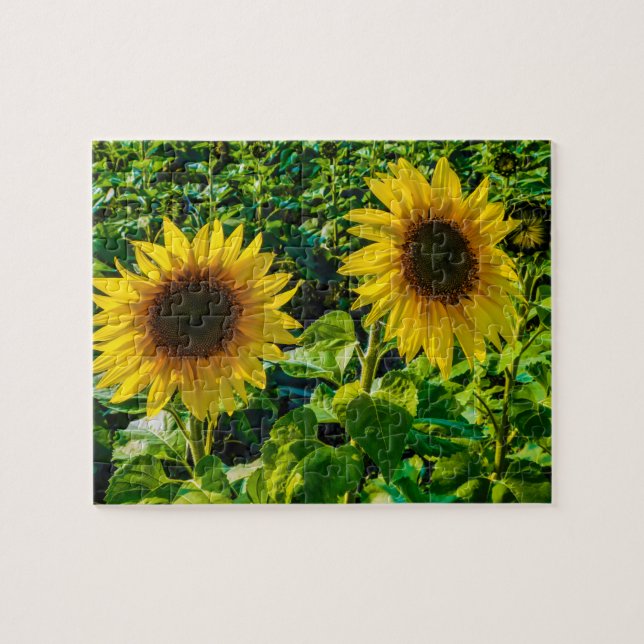 Twin Sunflowers Puzzle (Horizontal)