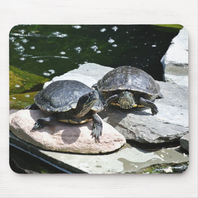Twin Turtles - Mousepad (Vorne)