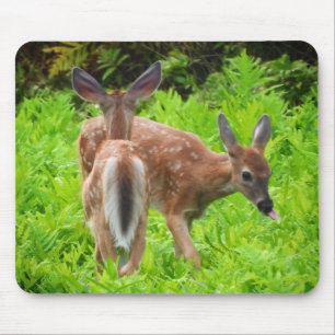 Twin White Schwanz Deer Fawns Mousepad