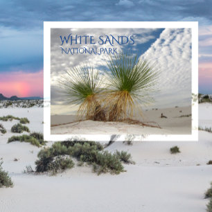 Twin Yuccas, Nationalpark des weißen Sandes Postkarte
