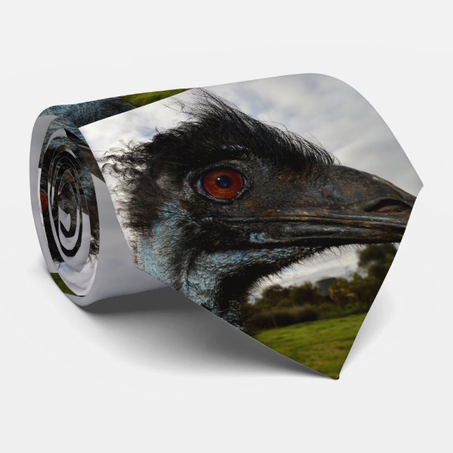 "Twinkle im Auge: Ein neugieriger Blick der Emu" Krawatte (Gerollt)