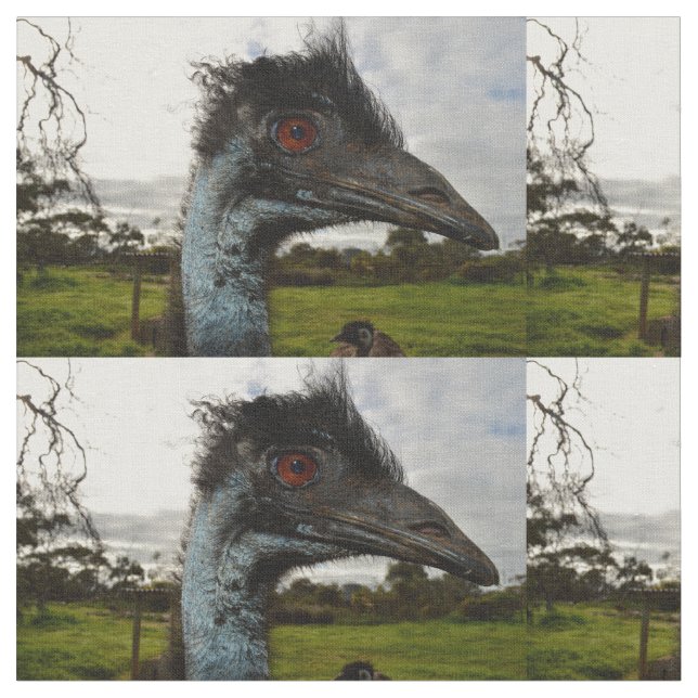 "Twinkle im Auge: Ein neugieriger Blick der Emu" Stoff (Nahaufnahme)