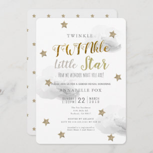 TWINkle Little Star Gender Reveal Baby Shower Einladung