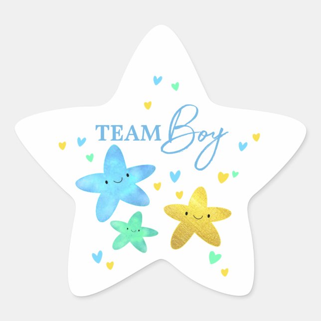 Twinkle Little Star Gender Reveal Team Boy Stern-Aufkleber (Vorderseite)