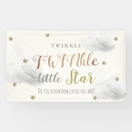 TWINkle Little Star Gray Baby Shower Banner