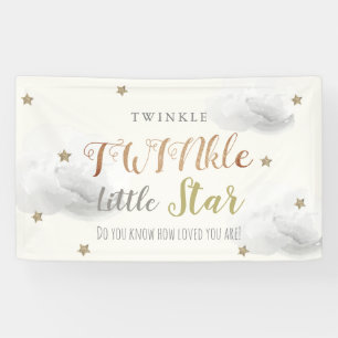 TWINkle Little Star Gray Baby Shower Banner