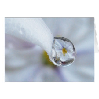 Twinkle Twinkle Card