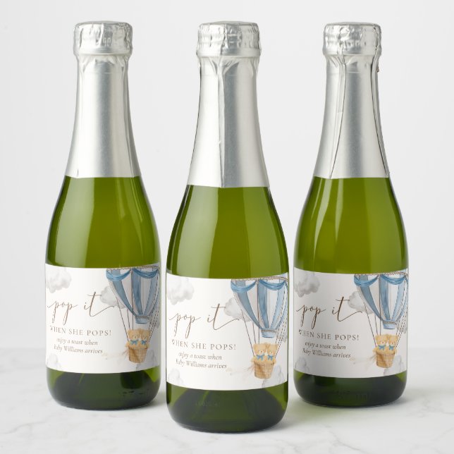 Twins Bearly Wait Teddy Bear Pop It When She Pops (Flaschen)